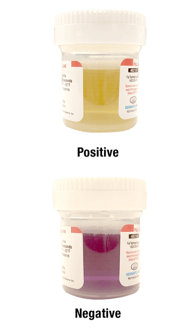 WaterWorks™ Bacteria Check Mini (2 tests) - Nano Clean Water Testing (Europe)
